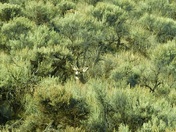 Malheur National Wildlife Refuge
