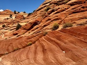 Wire Pass Trail