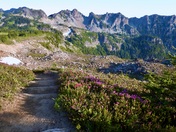 Mt Rainier National Park