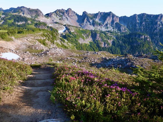 Mt Rainier National Park