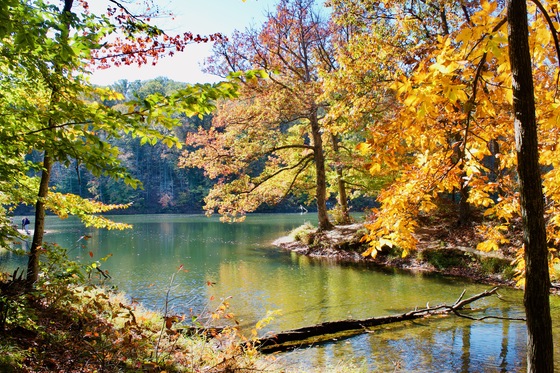 Brown County State Park 