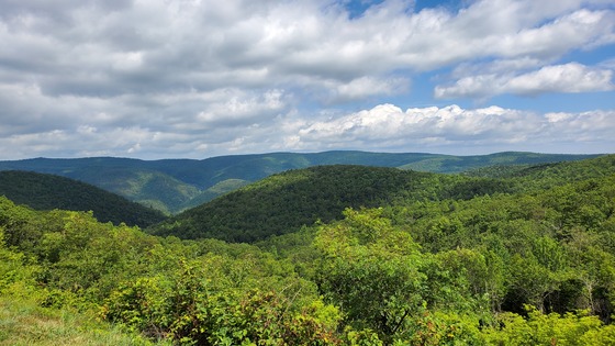 Shenandoah National Park 