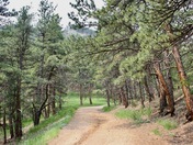 Rocky Mountain National Park 
