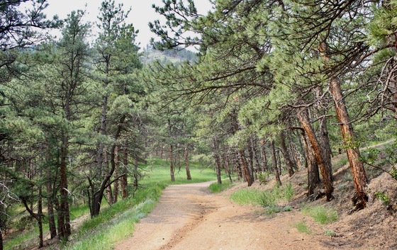 Rocky Mountain National Park 