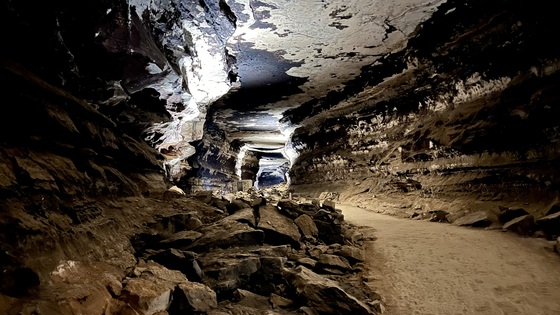 Mammoth Cave National Park
