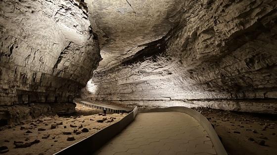 Mammoth Cave National Park