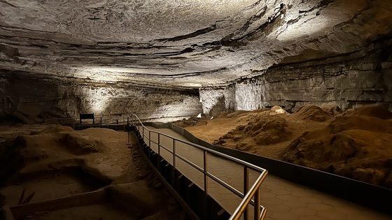 Mammoth Cave National Park