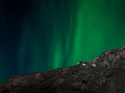 On a date: Dall's sheep style