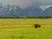 Grand Teton National Park