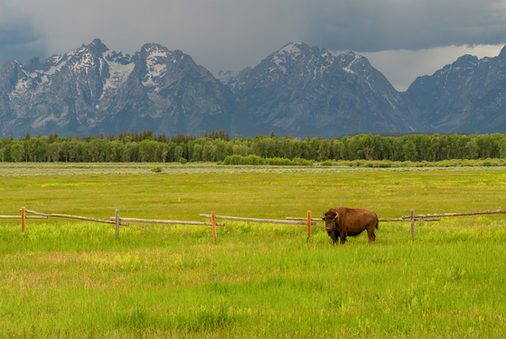 Grand Teton National Park