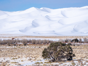 Great Sand dunes national park
