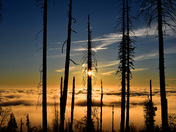 Sequoia National Park