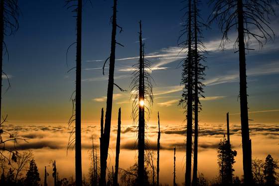 Sequoia National Park