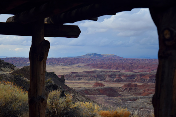 Petrified Forest National Park