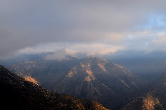 Sequoia National Park