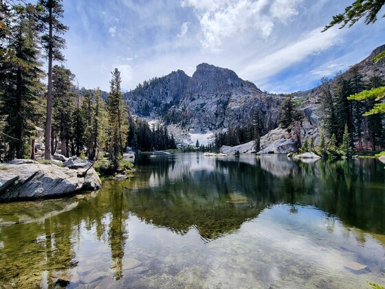 Sierra National Forest