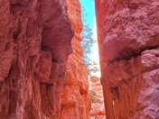 Bryce Canyon 