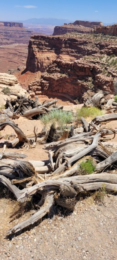 Canyonland National Park 