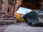 Natural Bridges National Monument