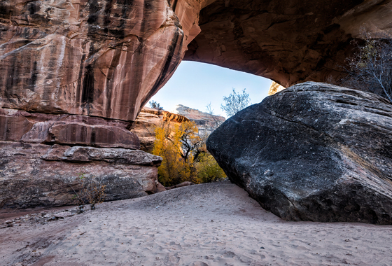 Natural Bridges National Monument