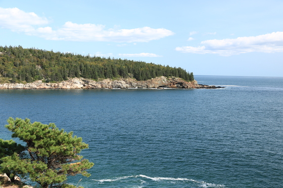Acadia National Park 