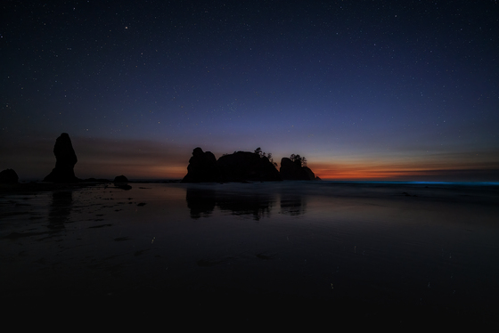 Olympic National Park