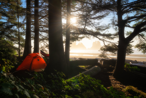 Olympic National Park