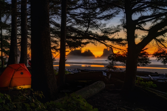 Olympic National Park