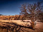 Cedar Breaks National Monument