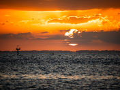 St Marks National Wildlife Refuge