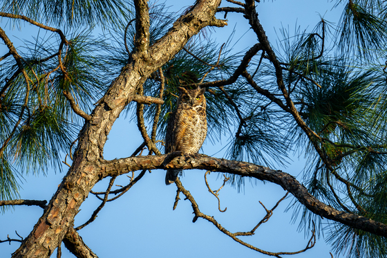 St Marks National Wildlife Refuge