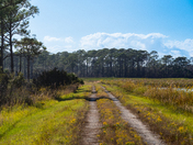 St Marks National Wildlife Refuge