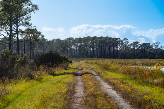 St Marks National Wildlife Refuge