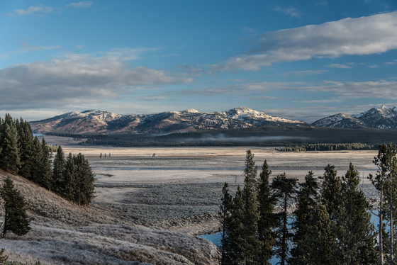 Yellowstone National park