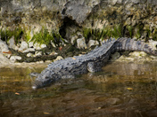 Everglades National Park