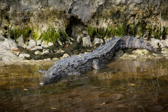Everglades National Park