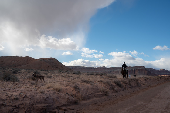 Capitol Reef National Park