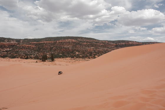 Coral Pink Sand Dunes