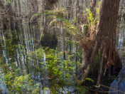 Everglades National Park