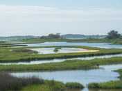 Assateague National Seashore