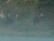 Glacier National Park