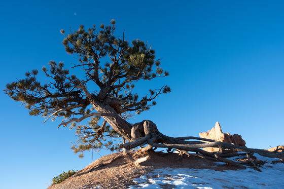 Bryce Canyon National Park
