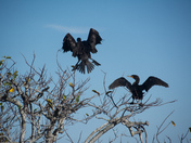 Everglades National Park