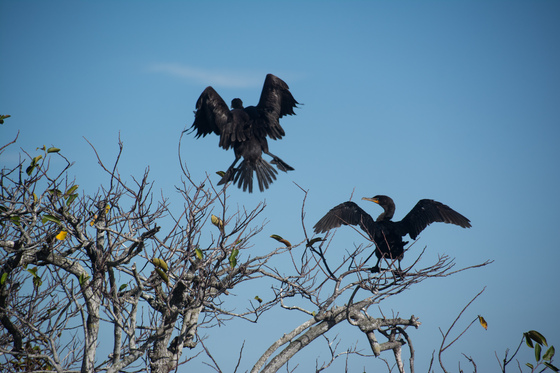 Everglades National Park