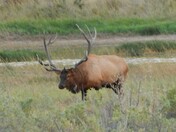 Charles M. Russell National Wildlife Refuge