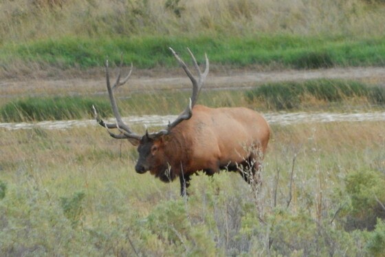 Charles M. Russell National Wildlife Refuge