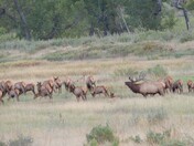 Charles M. Russell National Wildlife Refuge