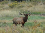 Charles M. Russell National Wildlife Refuge