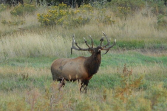 Charles M. Russell National Wildlife Refuge