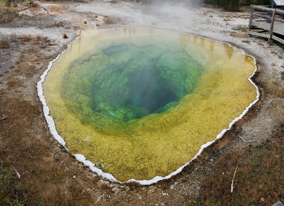 Yellowstone National Park